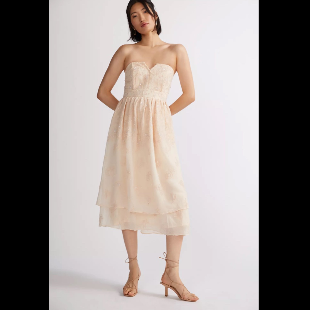 Nwt Anthropologie Embroidered Midi Dress